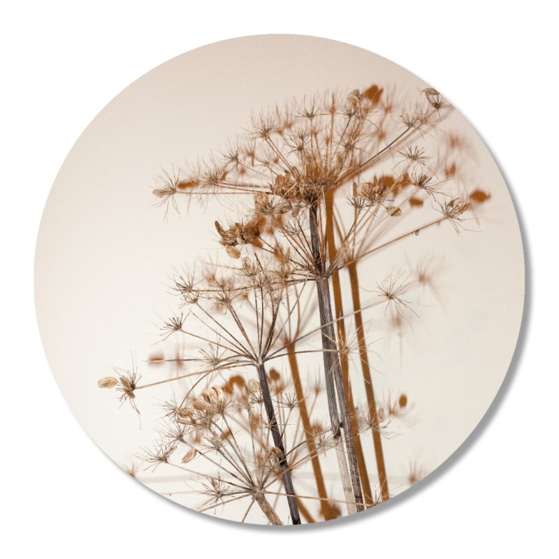 berenklauw-voor-jou berenklauw-voor-jou